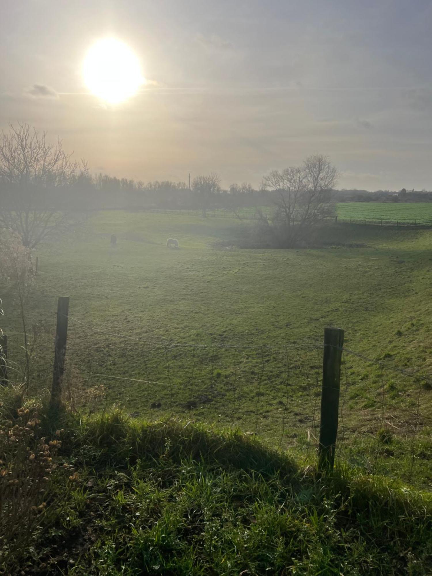 Geniet Van Een Charmante En Rustige Verblijfplaats In Lobith Exterior foto
